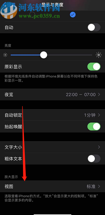 iPhone 11开启放大应用图标功能的方法