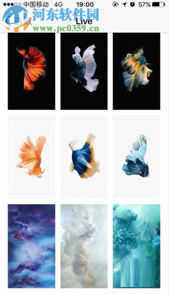 苹果手机更换桌面墙纸的方法