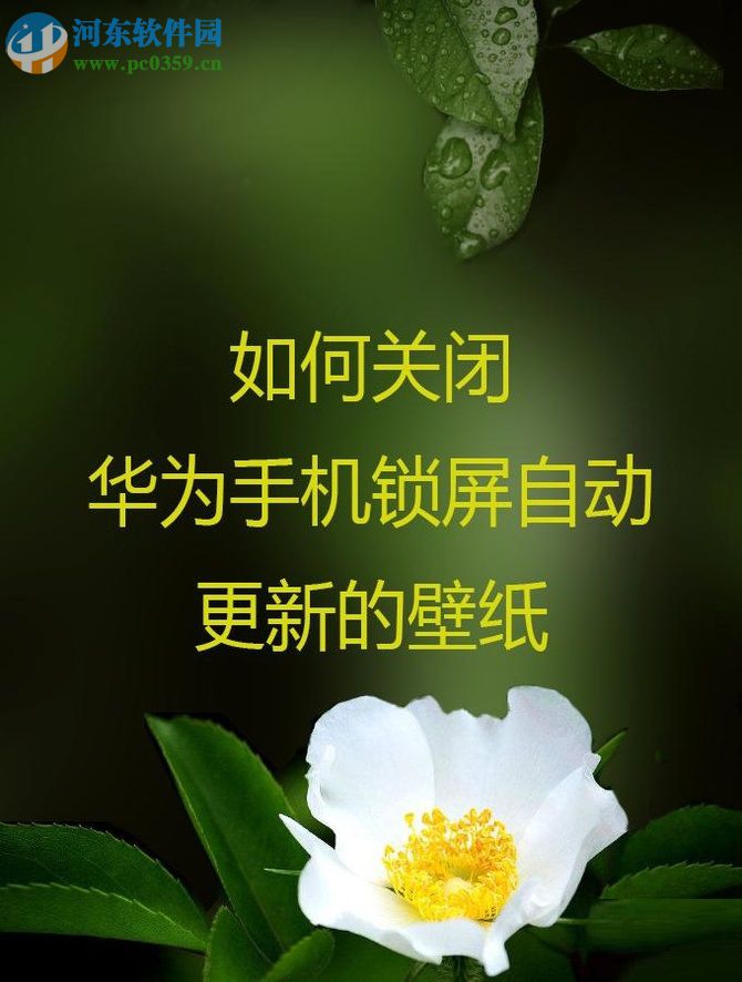 华为手机关闭锁屏动态壁纸的教程