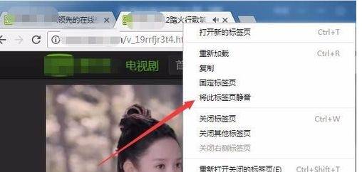 谷歌浏览器静音怎么设置？谷歌浏览器静音设置方法说明