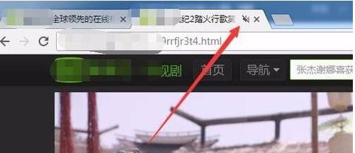 谷歌浏览器静音怎么设置？谷歌浏览器静音设置方法说明