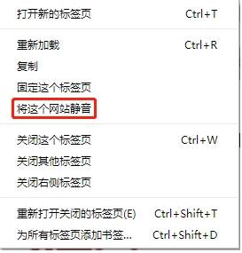 谷歌浏览器静音怎么设置？谷歌浏览器静音设置方法说明