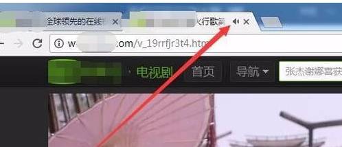 谷歌浏览器静音怎么设置？谷歌浏览器静音设置方法说明