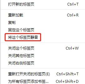 谷歌浏览器静音怎么设置？谷歌浏览器静音设置方法说明