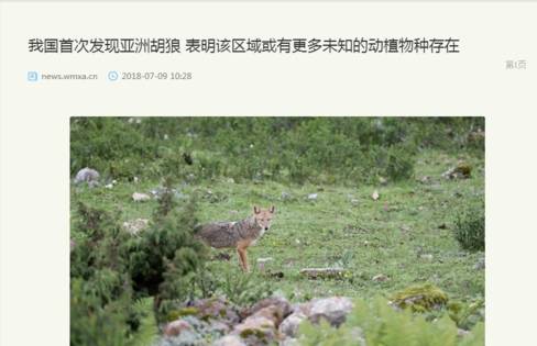 360浏览器阅读模式怎么设置?设置阅读模式操作流程一览