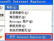 ie浏览器无法打开网页,别的浏览器可以打开是什么原因?解决方法分享