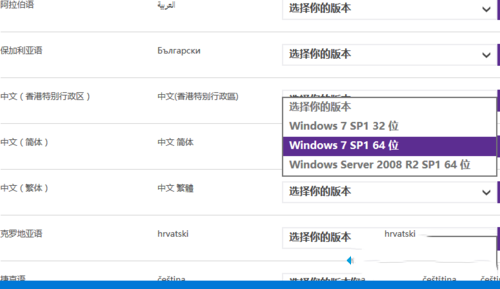 XP系统安装不了ie提示安装了更新的Internet Explorer版本是什么原因？解决办法说明