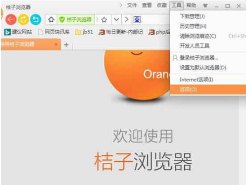 桔子浏览器的下载及安装方法和常见问题