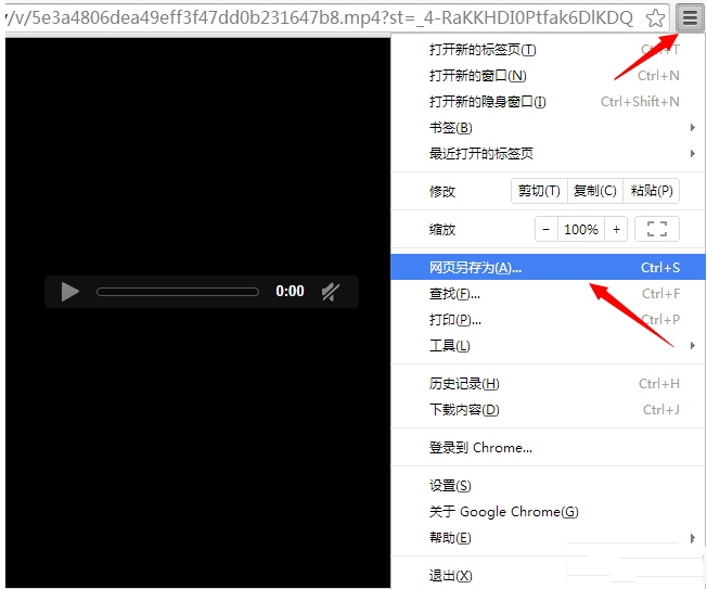 怎么下载网页上的视频 ?(以goole浏览器为例)