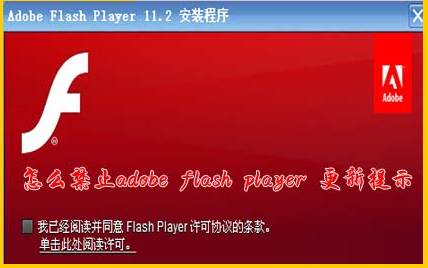 怎样禁止adobe flash player for ie更新提示?解决的方法介绍